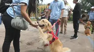 Lanzan campaña nacional antirrábica canina