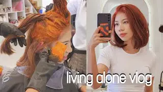 Living alone Vlog | I dyed my hair again 🧡👩‍🦰 Wine Date with Friends