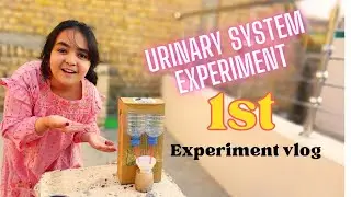 urinary system experiment 1st experiment vlog