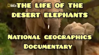 The Desert Life of Elephants! Fantastic Educational Video footage from National Geographics! HD!