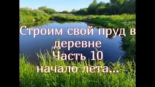 Пруд в деревне своими руками. Часть 10. Начало лета...