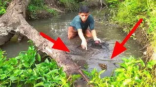 SIBU IKAN DISUNGAI MELIHAT ADA GERAKAN ANEH