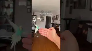 Not a reason to clip them especially because of throat 