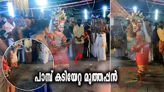 പാമ്പ് കടിയേറ്റ മുത്തപ്പൻ  | Muthappan | Theyyam | Trending | Snake / Sree Chamundi Temple Mangara