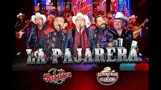 Los Nuevos Rebeldes Ft. Los Llaneros de Guamuchil - La Pajarera (Video Oficial) (2024)