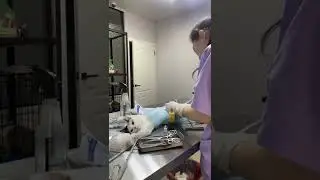 sadykovi  7090208153211538690