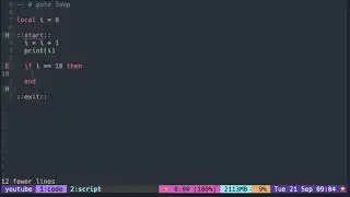 Lua Tutorial with Neovim: Loop ( with goto )