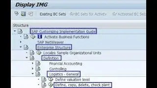 How to create a Plant in SAP