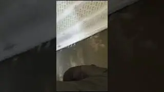 катаюсь с другом на питбайке