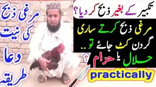 Murgi Zibah Karne ki Takbeer / Murgi Zibah Karne ki Dua / 🐓 murgha zibha Karne ka Tarika 
