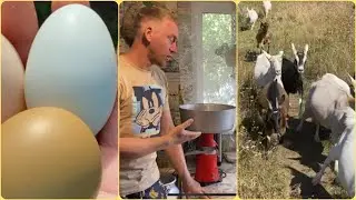 ОБЕЗЖИРЕННОЕ МОЛОКО за 100₽?🙀🙀🙀