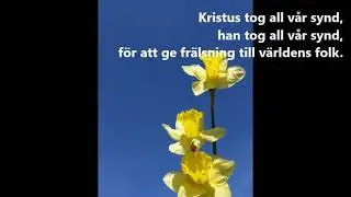 LIVET HAR SEGRAT