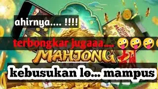 setop main judi