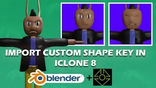 Import Custom Shape key in Iclone 8  | Blender & Iclone 8