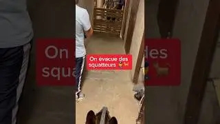 Il pense que nos chiens ne savent pas sauter 😤 #chien #nino #malinois #embrouille #police