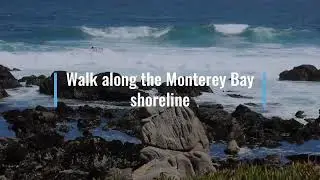 Monterey Bay shore line walk 