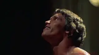 Jim Rohn x Arnold- “Vision”