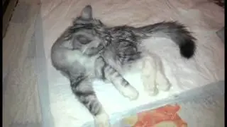 Io questa la chiamo VOGLIA DI FARCELA