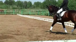КФХ Гея К.Ю на Подружке(юноши)25.05.2011