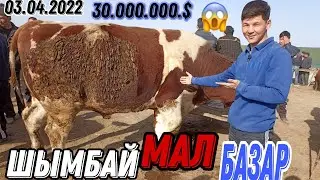 Шымбай мал базар/ Shimbay mal bazar/ мал базар 2022/ mal bazar/ Скотный Рынок