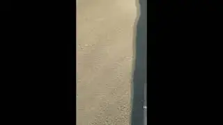 Смотрите как можно объебать голубя, я съел семечкуи кормлю его шелухой