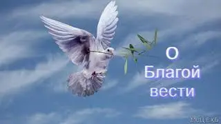 О Благой вести  П  Г  Костюченко  МСЦ ЕХБ ПРОПОВЕДЬ 2020