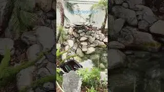 Pond clean out