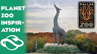 Dallas Zoo Tour - Planet Zoo Inspiration
