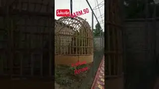 Кавги дулан