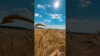 Ну какова красота😍