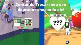 Tentando Trocar meu ovo dourado+ chocando ele
