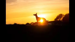Easy sunset enhancements / Photoshop + Lightroom