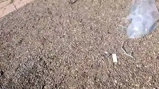 Стройка киоска, в процессе, надо ещё окна