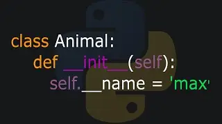 Python attribute types: The TRUTH about Public, Protected & Private | #18