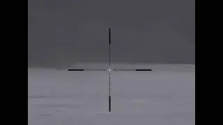 Охота на волка Беларусь