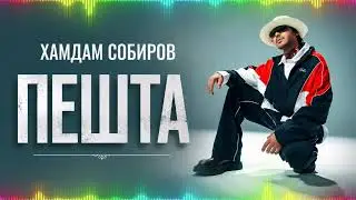 🎧Хамдам Собиров - Пешта |Хит 2026|