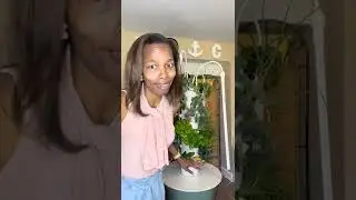 Gardening indoors for easier meal prep & better gut health