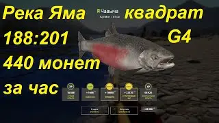 Река яма. точка 188:201 Фарм на Кете и Чавыче. рр4