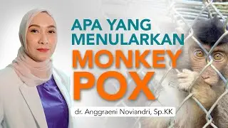 Binatang apa saja pembawa virus MonkeyPox