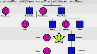 Your Family Tree Explained