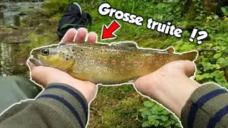 Je prends de la GROSSE TRUITE dans cette rivière ! (Pêche de la truite au bouchon)