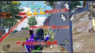 с бешеным тимом от золота  до фул6