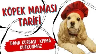 Evde köpek maması yapıyoruz