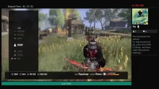You call it a gank, I call it an a$$ whoop'n