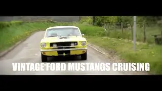 Vintage Ford Mustangs Cruising UK