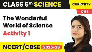 The Wonderful World of Science - Activity 1 | Class 6 Science (Curiosity) Chapter 1 | CBSE 2024-25