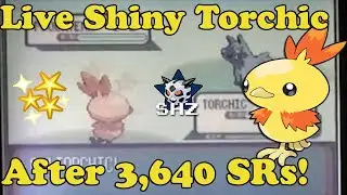 [IRL] Live!!! Shiny Torchic after 3,640 SRs!!
