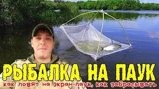 Рыбалка на паук, как ловят на экран паук, как забрасывать 