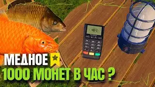 МЕДНОЕ И ЧЁРНЫЙ АМУР  | Русская Рыбалка 4 [PC 2018]
