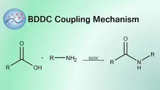 BDDC Coupling Mechanism | Organic Chemistry